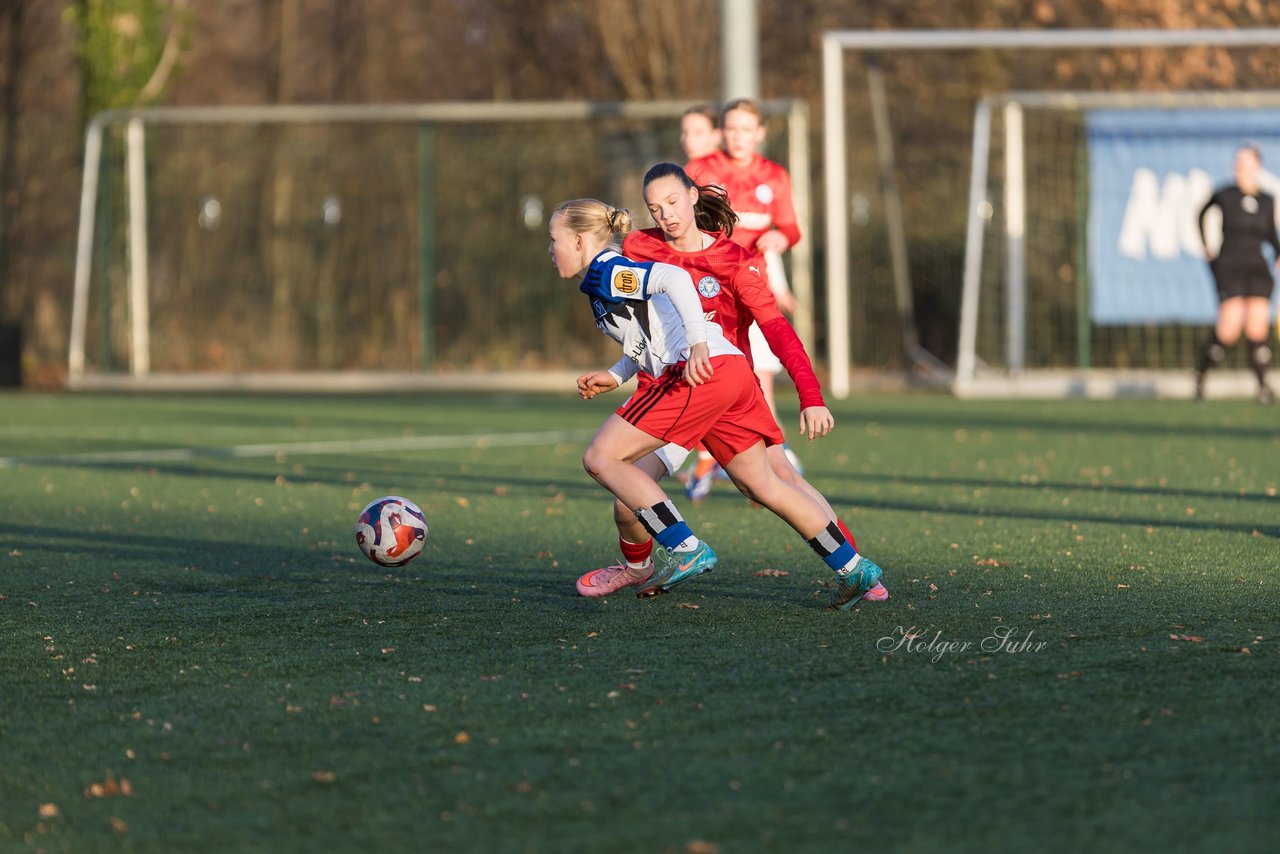 Bild 259 - wBJ Hamburger SV - Holstein Kiel : Ergebnis: 8:0